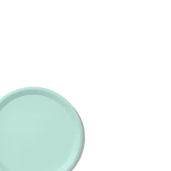 Coterie Mint Classic Large Plates (10 Per Pack)