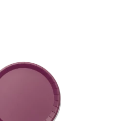 Coterie Tabletop Plum Classic Large Plates (10 Per Pack)