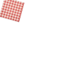 Coterie Tabletop Summer Picnic Cocktail Napkins (25 Per Pack)