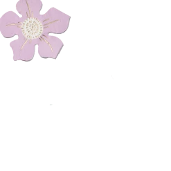 Coterie In Full Bloom Napkins (25 Per Pack)