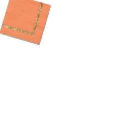 Coterie Tropical Coral Brushstroke Cocktail Napkins (25 Per Pack)