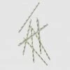 Coterie Tabletop Mint And Gold Paper Straws (25 Per Pack) 1 Coterie Tabletop Mint And Gold Paper Straws (25 Per Pack)