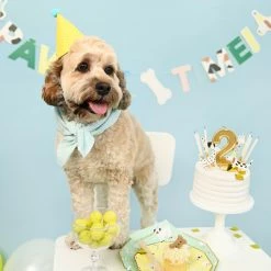 Coterie Pawty Time Banner Decorations