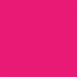 Coterie Hot Pink Classic Large Plates (10 Per Pack) Tabletop