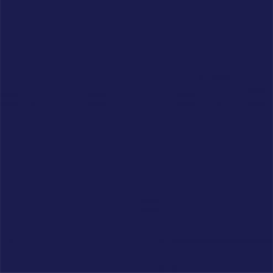 Coterie Tabletop Navy Classic Large Plates (10 Per Pack) 13 Coterie Tabletop Navy Classic Large Plates (10 Per Pack)