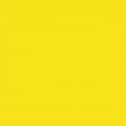 Coterie Sunshine Yellow Classic Large Plates (10 Per Pack)