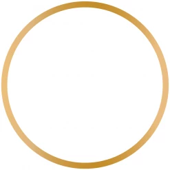 Coterie White And Gold Classic Large Plates (10 Per Pack)